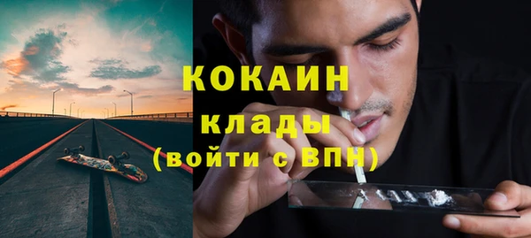 прущие грибы Ессентукская