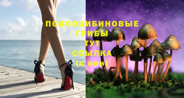 бошки Абаза