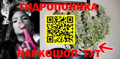 меф Шелехов
