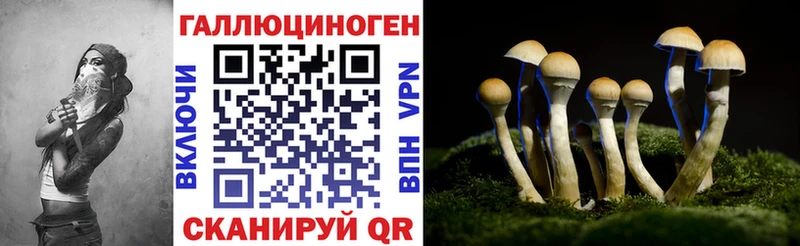 где купить наркоту  Кинешма  Псилоцибиновые грибы Cubensis 