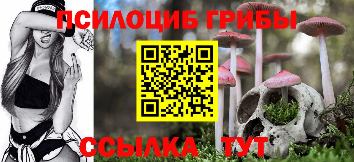 Псилоцибиновые грибы Psilocybine cubensis  Псилоцибиновые грибы ЛСД  даркнет сайт  Кинешма  Вход с VPN 