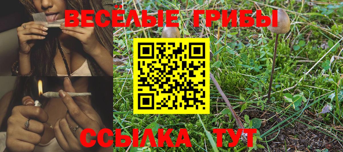 A PVP Кинешма